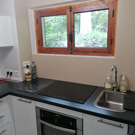 Chalet Le Tyrolien, Au Coeur Du Boreon Saint-Martin-Vésubie 外观 照片