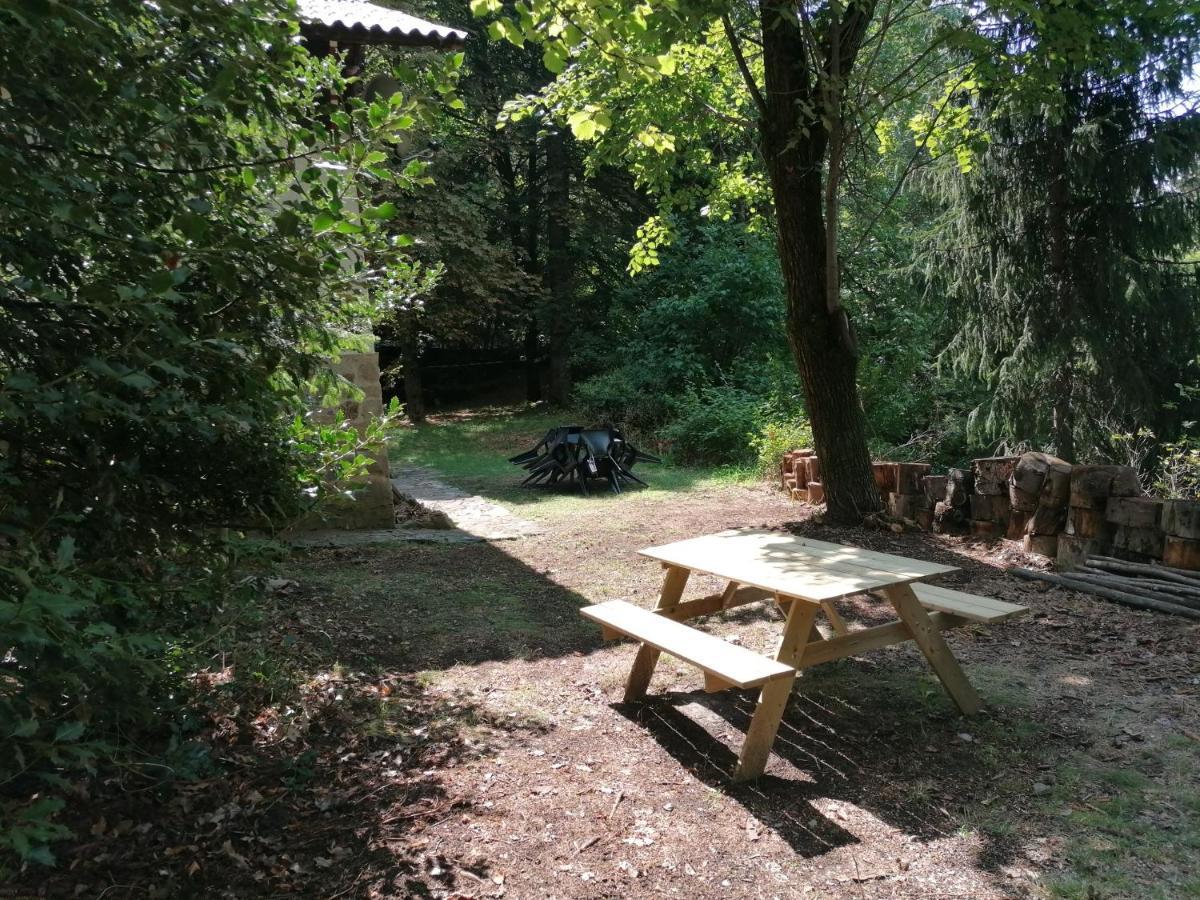 Chalet Le Tyrolien, Au Coeur Du Boreon Saint-Martin-Vésubie 外观 照片