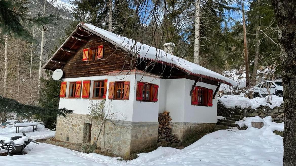 Chalet Le Tyrolien, Au Coeur Du Boreon Saint-Martin-Vésubie 外观 照片