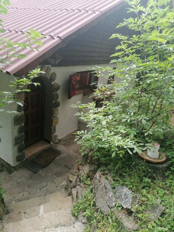 Chalet Le Tyrolien, Au Coeur Du Boreon Saint-Martin-Vésubie 外观 照片